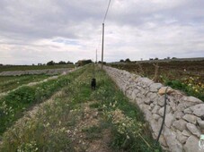 Terreno Agricolo in vendita a Ragusa