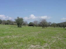 Terreno Agricolo in vendita a Ragusa via Trezzeria