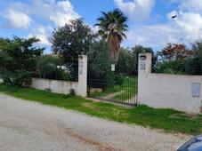 Terreno Agricolo in vendita a San Vito lo Capo porto di San Vito Lo Capo