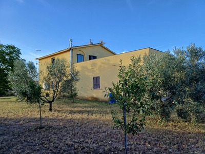 Rustico casale in Località Poggio Forcone Snc a Montalto di Castro