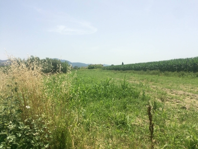 Terreno in vendita, Vecchiano nodica