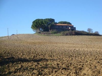 rustico / casale in vendita a Bibbona