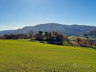 Casale annessi capannoni e terreno Cecina