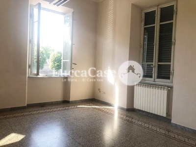 Ufficio in Affitto a Lucca, zona Arancio, 300€, 15 m²