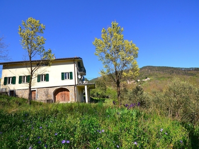 Ampio cottage a Sesta Godano con giardino