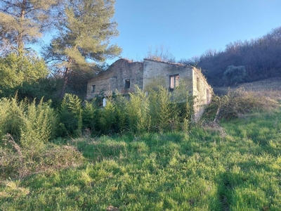 rustico / casale in vendita a Ripatransone