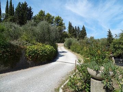 Casale in collina con piscina Palaia