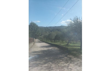 Terreno Agricolo/Coltura in vendita a San Martino Valle Caudina, Via Tinci 10