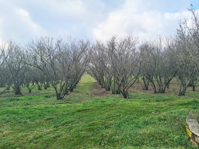 Rustico casale in vendita a Soriano Nel Cimino Viterbo