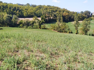 Terreno agricolo in vendita a Bagno Di Romagna