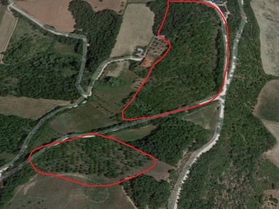 Terreno agricolo in Vendita a Teramo, zona Villa Romita, 45'000€, 40000 m²