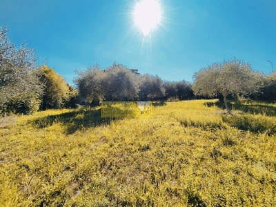 Terreno edificabile in Vendita a Teramo, zona San Nicolò a Tordino, 55'000€, 1500 m²