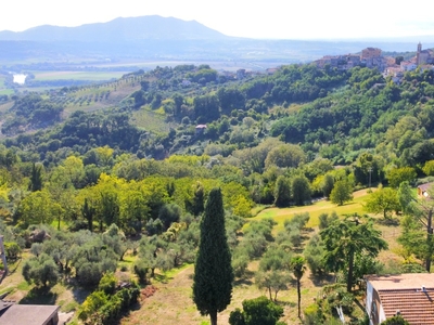 Vendita Terreno Residenziale in Forano