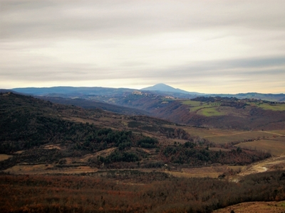 Appartamento in vendita a Castel Viscardo