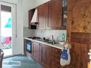 Appartamento arredato con terrazzo Isolotto e legnaia