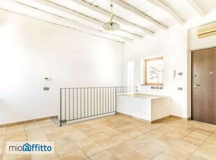 Appartamento con terrazzo Centro