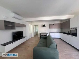 Bilocale arredato con terrazzo Mirano paese