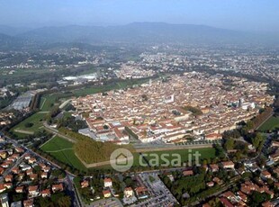 Negozio/Locale commerciale in Affitto in Via di Tiglio 1748 a Lucca