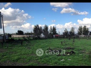 Terreno agricolo in Affitto in Via CARRAFIELLO a Giugliano in Campania