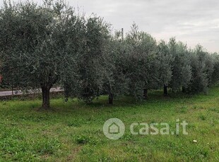 Terreno agricolo in Affitto in Via di Campo Vecchio 34 a Grottaferrata