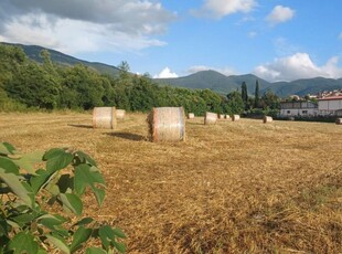 terreno agricolo in vendita a Amaseno