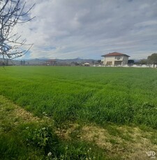 Terreno di 9.150 m² in Notaresco