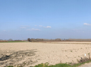 Vendita Terreno Agricolo Castelnuovo Scrivia