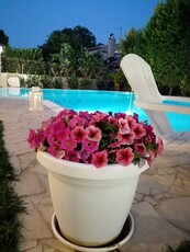 Villa con 2 stanze con accesso piscina, giardino attrezzato e Wifi a Ragusa