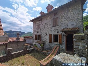 Ville, villette, terratetti Borgo a Mozzano cucina: Cucinotto,