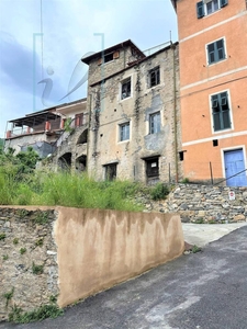 rustico / casale in vendita a Vesallo