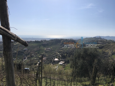 Terreno Agricolo in vendita in via s. lorenzo romagnano 62, Massa