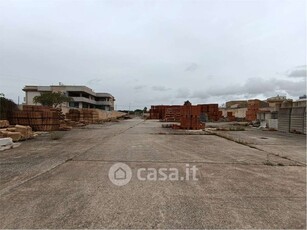 Terreno agricolo in Affitto in a Marsala