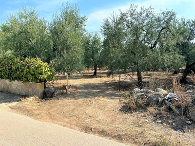 Terreno Agricolo in vendita a Andria