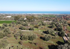 Vendita Terreno agricolo, in zona CASELLO CAVUZZI, POLIGNANO A MARE